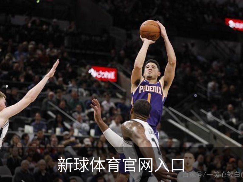 新球体育官网入口概况